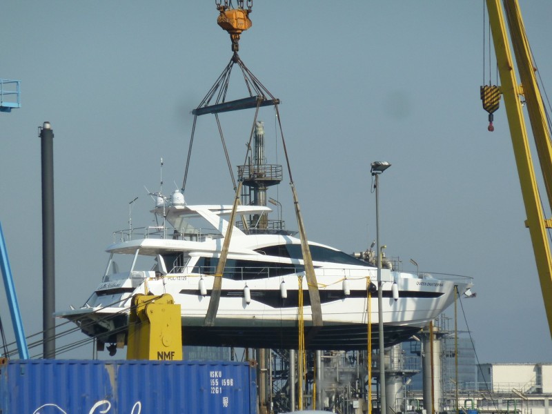 P1050771_800x800.jpg?ts=1750253023