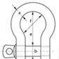 BOW SHACKLES WITH SCREW PIN